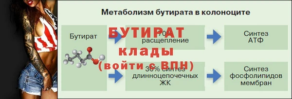 сатива Абаза
