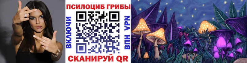 гидра ONION  Пойковский  Псилоцибиновые грибы ЛСД  цены  